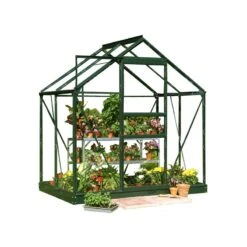 6'4 X 4'4 Green Frame Halls Popular 64 Small Greenhouse (1.93 X 1.31m) -Lifetina Shop 1. green popular 46 base 800px cutout