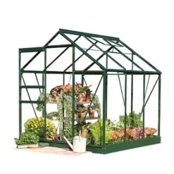 6'4 X 6'5 Green Frame Halls Popular 66 Small Greenhouse (1.93 X 1.95m) -Lifetina Shop 1. green popular 66 base 800px cutout