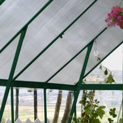 8' X 8' Palram Canopia Balance Green Greenhouse (2.47m X 2.44m) -Lifetina Shop 701924 balance 8x8 green greenhouse close up5 min 1