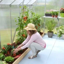 8'x12' Palram Canopia Essence Large Walk In Aluminium Framed Greenhouse (2.4x3.6m) -Lifetina Shop 701944 04