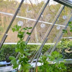 Palram Canopia Greenhouse Trellis Kit -Lifetina Shop 702420 04