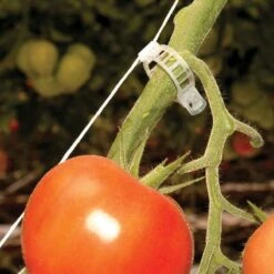 Palram Canopia Greenhouse Trellis Kit -Lifetina Shop 702420 palram canopia greenhouse trellis kit close up5 min