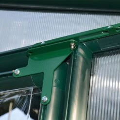 6'x10' Palram Canopia Rion EcoGrow Walk In Green Polycarbonate Greenhouse (1.8x3m) -Lifetina Shop 702468 06