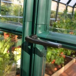 6'x12' Palram Canopia Rion EcoGrow Large Green Polycarbonate Greenhouse (1.8x3.6m) -Lifetina Shop 702471 05