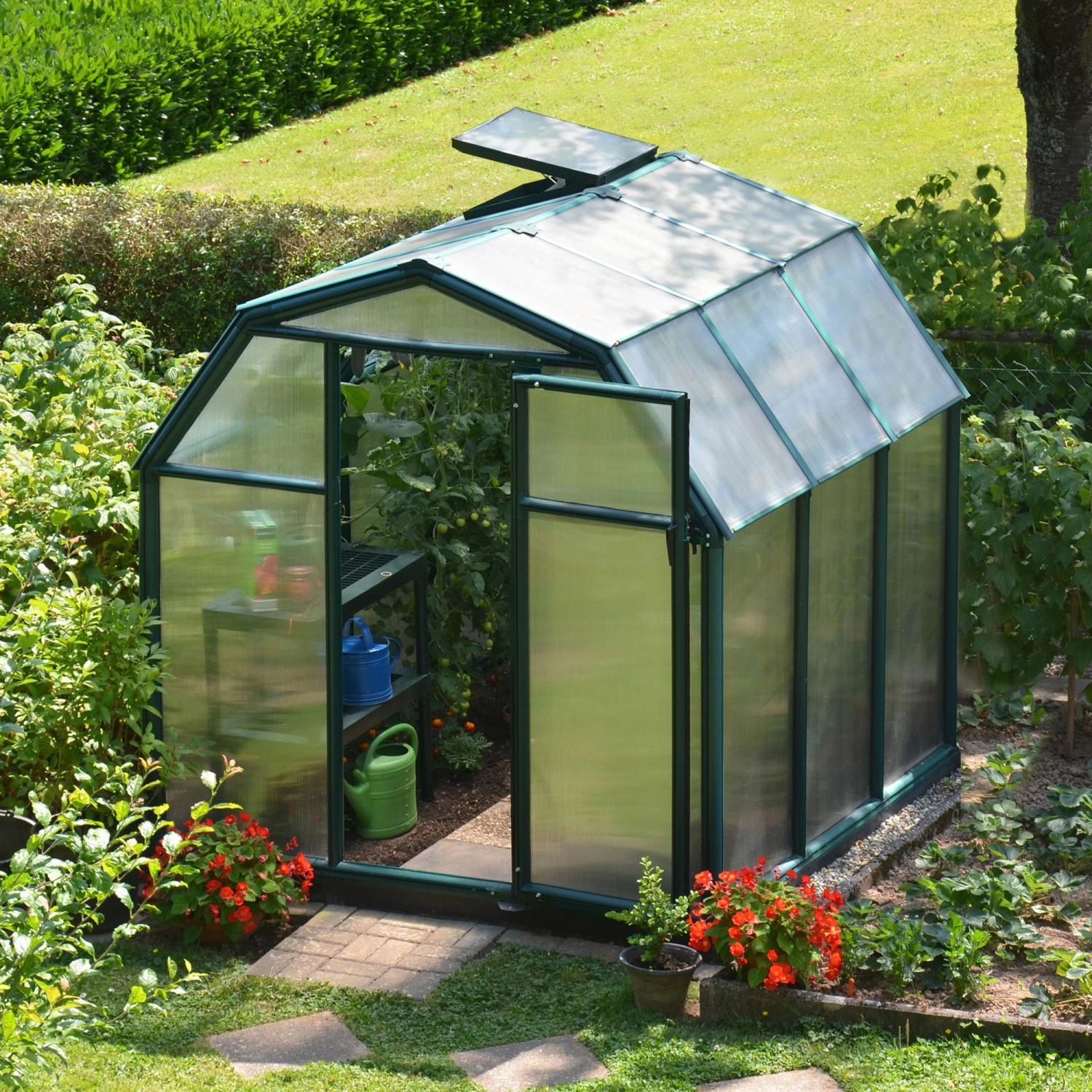 6'x6' Palram Canopia Rion EcoGrow Small Green Polycarbonate Greenhouse (1.8x1.8m) 2 6'x6' Palram Canopia Rion EcoGrow Small Green Polycarbonate Greenhouse (1.8x1.8m) - Image 2