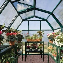 6'x6' Palram Canopia Rion EcoGrow Small Green Polycarbonate Greenhouse (1.8x1.8m) 15 6'x6' Palram Canopia Rion EcoGrow Small Green Polycarbonate Greenhouse (1.8x1.8m) -Lifetina Shop 702521 04