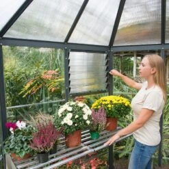 8x7 Palram Canopia Oasis Hexagonal Polycarbonate Greenhouse -Lifetina Shop 704053 8ft palram oasis hexagonal polycarbonate greenhouse interior1