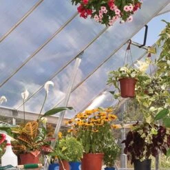 8' X 16' Palram Canopia Balance Silver Greenhouse (4.87m X 2.44m) -Lifetina Shop 704764 balance 8x16 silver greenhouse close up2 min 1