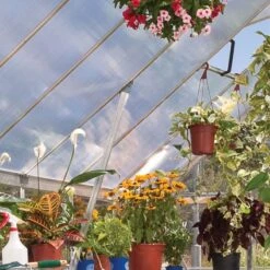 8' X 20' Palram Canopia Balance Silver Greenhouse (6.07m X 2.44m) -Lifetina Shop 704765 balance 8x20 silver greenhouse close up2 min 1