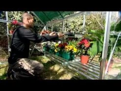 6'x8' Palram Canopia Hybrid Walk In Green Polycarbonate Greenhouse (1.8x2.4m) -Lifetina Shop hqdefault 416 1