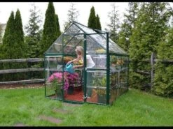 6'x8' Palram Canopia Harmony Walk In Green Polycarbonate Greenhouse (1.8x2.4m) -Lifetina Shop hqdefault 55 4