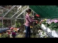 6'x6' Palram Canopia Harmony Small Green Polycarbonate Greenhouse (1.8x1.8m) 16 6'x6' Palram Canopia Harmony Small Green Polycarbonate Greenhouse (1.8x1.8m) -Lifetina Shop hqdefault 81