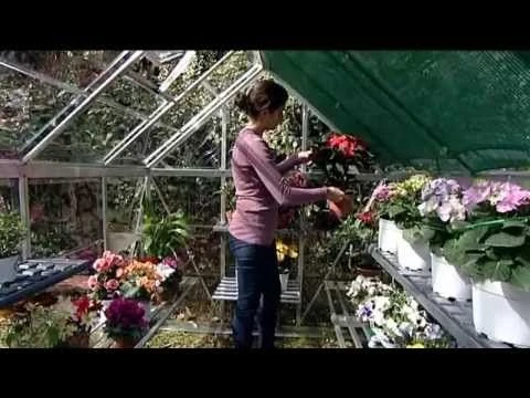 6'x6' Palram Canopia Harmony Small Green Polycarbonate Greenhouse (1.8x1.8m) 8 6'x6' Palram Canopia Harmony Small Green Polycarbonate Greenhouse (1.8x1.8m) - Image 8