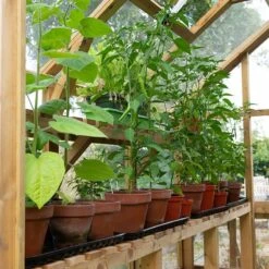 8'x6' Forest Vale Victorian Wooden Greenhouse (2.4x1.8m) - Installation Included -Lifetina Shop m8x6ghin3 min