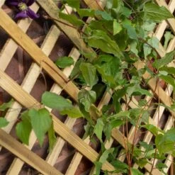 2'7 X 1'4 Forest Trellis Wooden Garden Planter (0.8m X 0.4m) -Lifetina Shop tpla 3